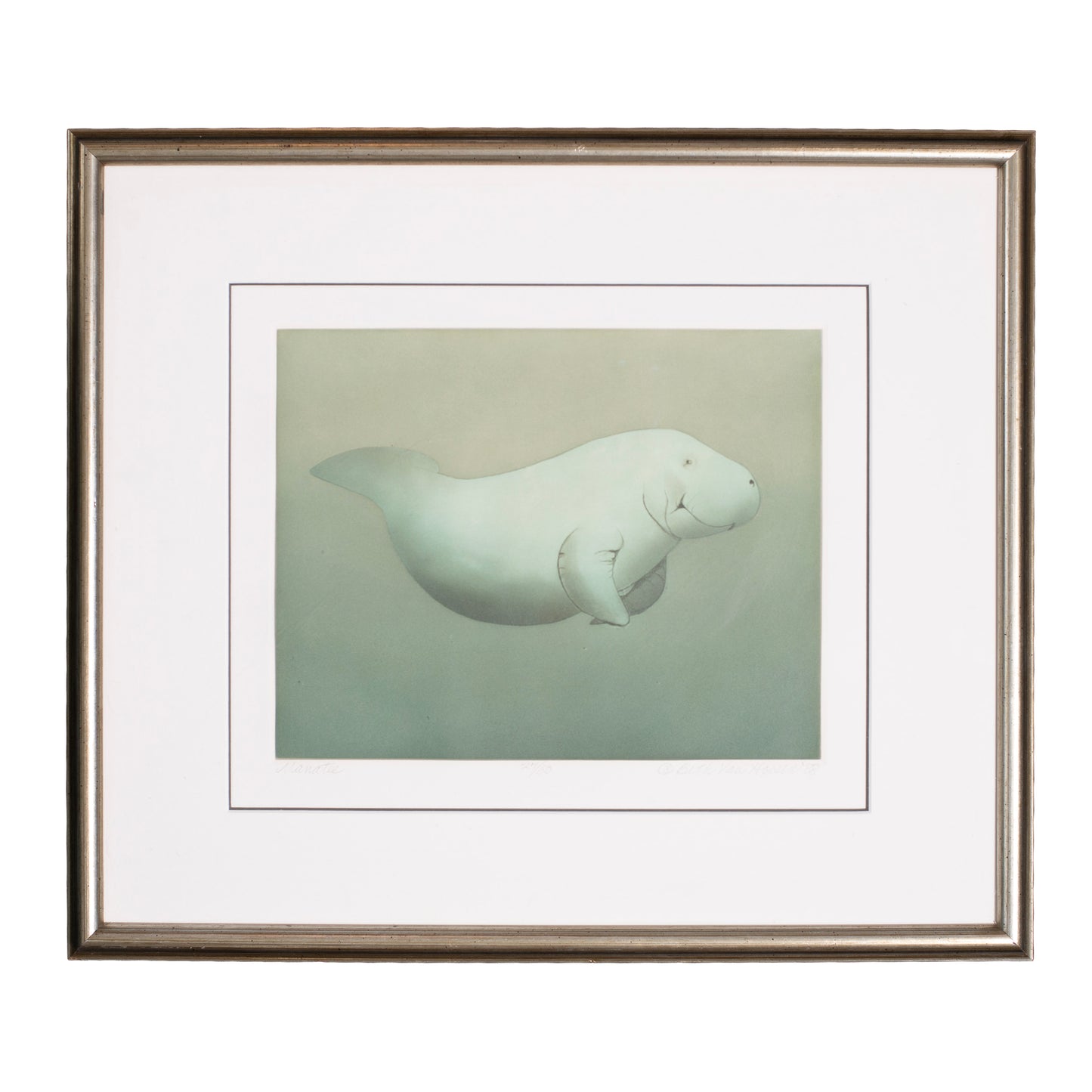 Beth Van Hoesen "Manatee" Etching 1988
